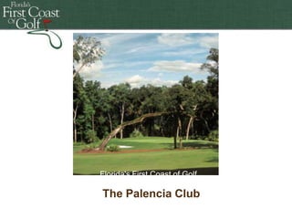 Florida's First First Coast ofof Golf
Florida's Coast Golf
Florida's First Coast
Florida's FirstCoast of Golf of Golf
The Palencia Club

 