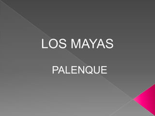 LOS MAYAS
PALENQUE
 