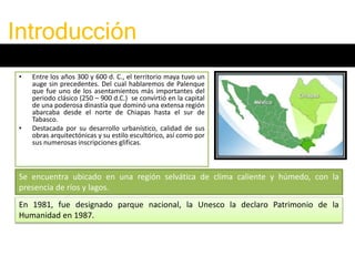 • Entre los años 300 y 600 d. C., el territorio maya tuvo un
auge sin precedentes. Del cual hablaremos de Palenque
que fue uno de los asentamientos más importantes del
periodo clásico (250 – 900 d.C.) se convirtió en la capital
de una poderosa dinastía que dominó una extensa región
abarcaba desde el norte de Chiapas hasta el sur de
Tabasco.
• Destacada por su desarrollo urbanístico, calidad de sus
obras arquitectónicas y su estilo escultórico, así como por
sus numerosas inscripciones glificas.
Introducción
Se encuentra ubicado en una región selvática de clima caliente y húmedo, con la
presencia de ríos y lagos.
En 1981, fue designado parque nacional, la Unesco la declaro Patrimonio de la
Humanidad en 1987.
 