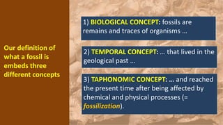 Reached Definition Paleo-Lection1-Introduction-2023-24-2.pdf