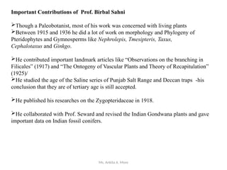 Ms. Ankita A. More
Important Contributions of Prof. Birbal Sahni
Though a Paleobotanist, most of his work was concerned with living plants
Between 1915 and 1936 he did a lot of work on morphology and Phylogeny of
Pteridophytes and Gymnosperms like Nephrolepis, Tmesipteris, Taxus,
Cephalotaxus and Ginkgo.
He contributed important landmark articles like “Observations on the branching in
Filicales” (1917) and “The Ontogeny of Vascular Plants and Theory of Recapitulation”
(1925)/
He studied the age of the Saline series of Punjab Salt Range and Deccan traps -his
conclusion that they are of tertiary age is still accepted.
He published his researches on the Zygopteridaceae in 1918.
He collaborated with Prof. Seward and revised the Indian Gondwana plants and gave
important data on Indian fossil conifers.
 