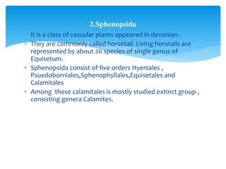 Paleobotany for B.Sc III(Botany-Semester III) As per the syllabus of S ...