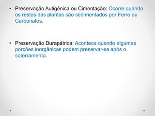 • Preservação Autigênica ou Cimentação: Ocorre quando
os restos das plantas são sedimentados por Ferro ou
Carbonatos.
• Preservação Durapátrica: Acontece quando algumas
porções inorgânicas podem preservar-se após o
soterramento.
 