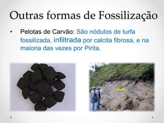 Outras formas de Fossilização
• Pelotas de Carvão: São nódulos de turfa
fossilizada, infiltrada por calcita fibrosa, e na
maioria das vezes por Pirita.
 