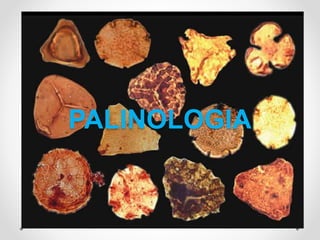 PALINOLOGIA
 