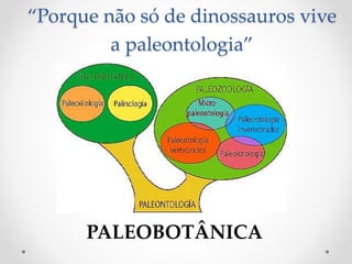 “Porque não só de dinossauros vive
a paleontologia”
PALEOBOTÂNICA
 