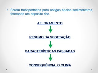 • Foram transportados para antigas bacias sedimentares,
formando um depósito rico.
AFLORAMENTO
RESUMO DA VEGETAÇÃO
CARACTERÍSTICAS PASSADAS
CONSEQUÊNCIA, O CLIMA
 
