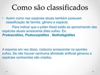 Como são classificados
• Assim como nas espécies atuais também possuem
classificação de família, gênero e espécie.
Para indicar que o pólen fóssil estão se aproximando das
espécies atuais acrescenta dites sufixo. Ex:
Proteacidites, Podocarpidites , Nothofagidites
A esporos em vez disso, costumo acrescentar os sporites
sufixo. Se não houver nenhuma afinidade artificial géneros e
espécies conhecidas são criados.
 