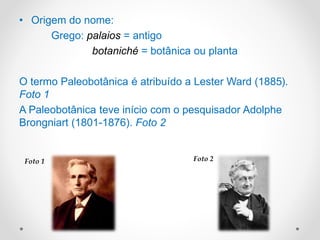 • Origem do nome:
Grego: palaios = antigo
botaniché = botânica ou planta
O termo Paleobotânica é atribuído a Lester Ward (1885).
Foto 1
A Paleobotânica teve início com o pesquisador Adolphe
Brongniart (1801-1876). Foto 2
Foto 1 Foto 2
 