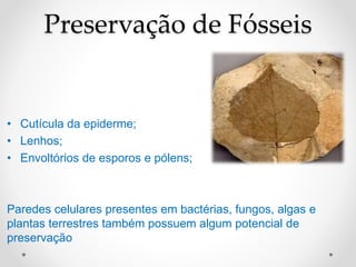 Preservação de Fósseis
• Cutícula da epiderme;
• Lenhos;
• Envoltórios de esporos e pólens;
Paredes celulares presentes em bactérias, fungos, algas e
plantas terrestres também possuem algum potencial de
preservação
 