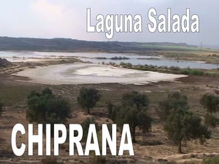 Laguna Salada CHIPRANA 