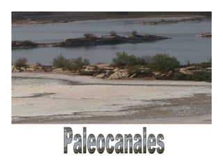 Paleocanales 