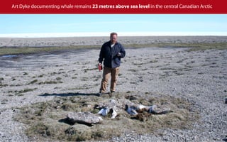 Art Dyke documenting whale remains 23 metres above sea level in the central Canadian Arctic
 