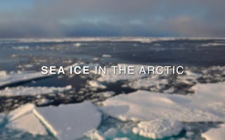 S E A I C E IN THE ARCTIC
 