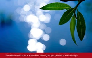 Direct observations provide a critical but short-sighted perspective on recent changes
 