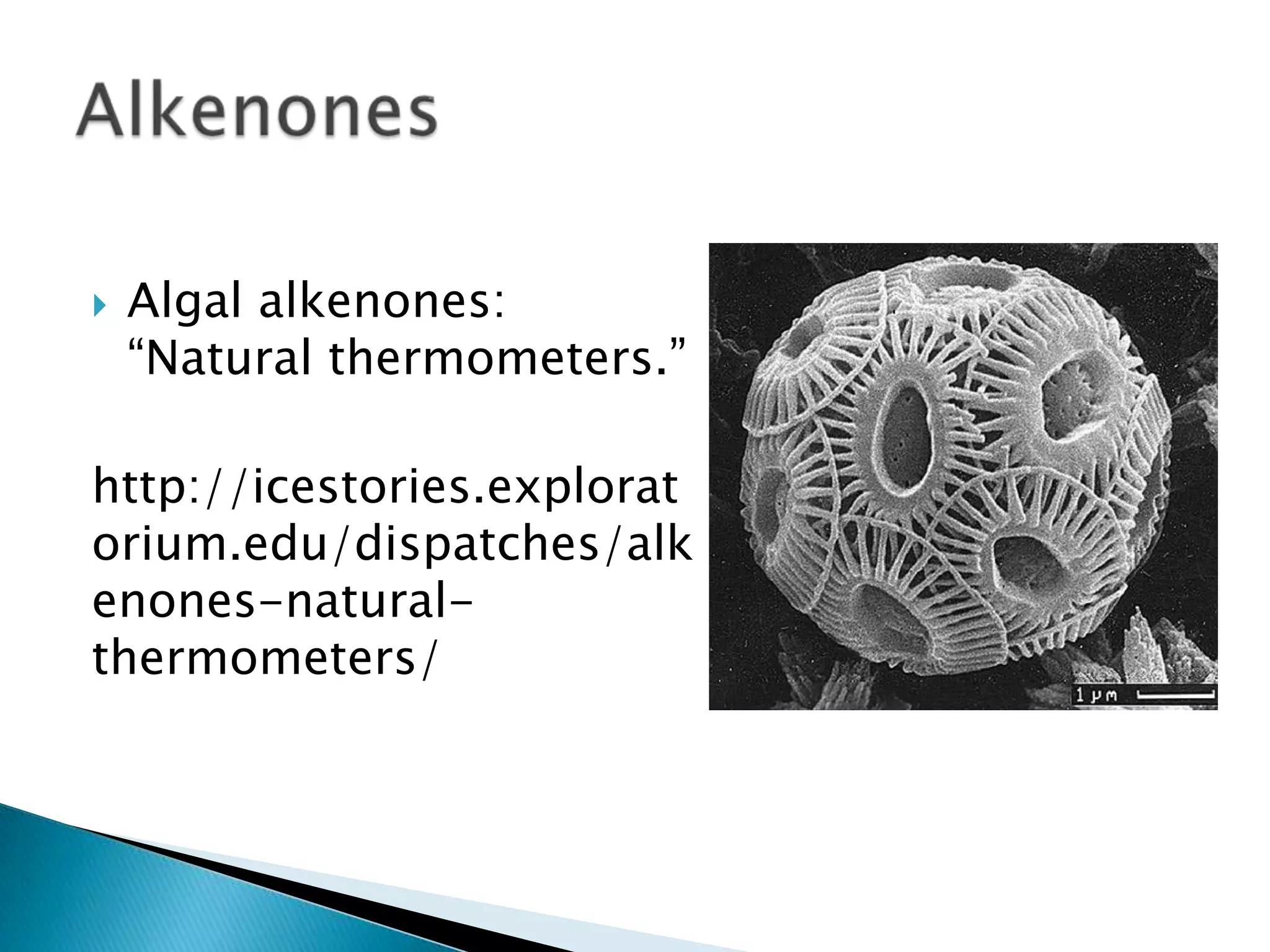    Algal alkenones:
    “Natural thermometers.”

http://icestories.explorat
orium.edu/dispatches/alk
enones-natural-
thermometers/
 