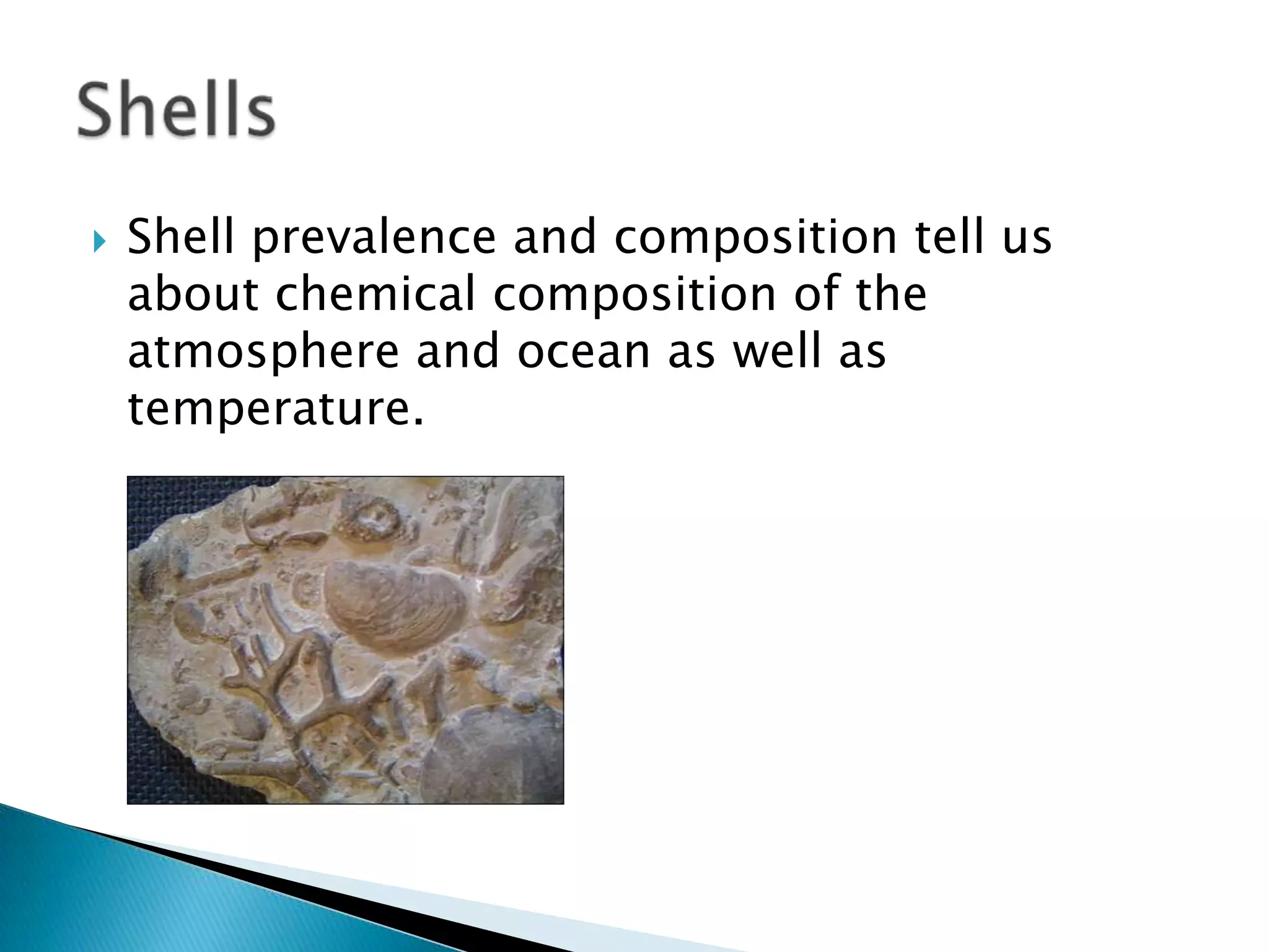    Shell prevalence and composition tell us
    about chemical composition of the
    atmosphere and ocean as well as
    temperature.
 