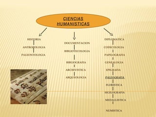 HISTORIA DIPLOMATICA
DOCUMENTACION
ANTROPOLOGIA CODICOLOGIA
BIBLIOTECOLOGIA
PALEONTOLOGIA PAPILOGRAFIA
BIBLIOGRAFIA GENEALOGIA
ARCHIVISTICA EPIGRAFIA
ARQUEOLOGIA PALEOGRAFIA
FLORISTICA
SIGILOGRAFIA
MEDALLISTICA
NUMISTICA
CIENCIAS
HUMANISTICAS
 
