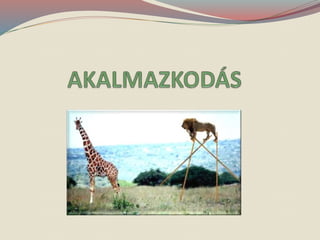 A paleolit étrendről