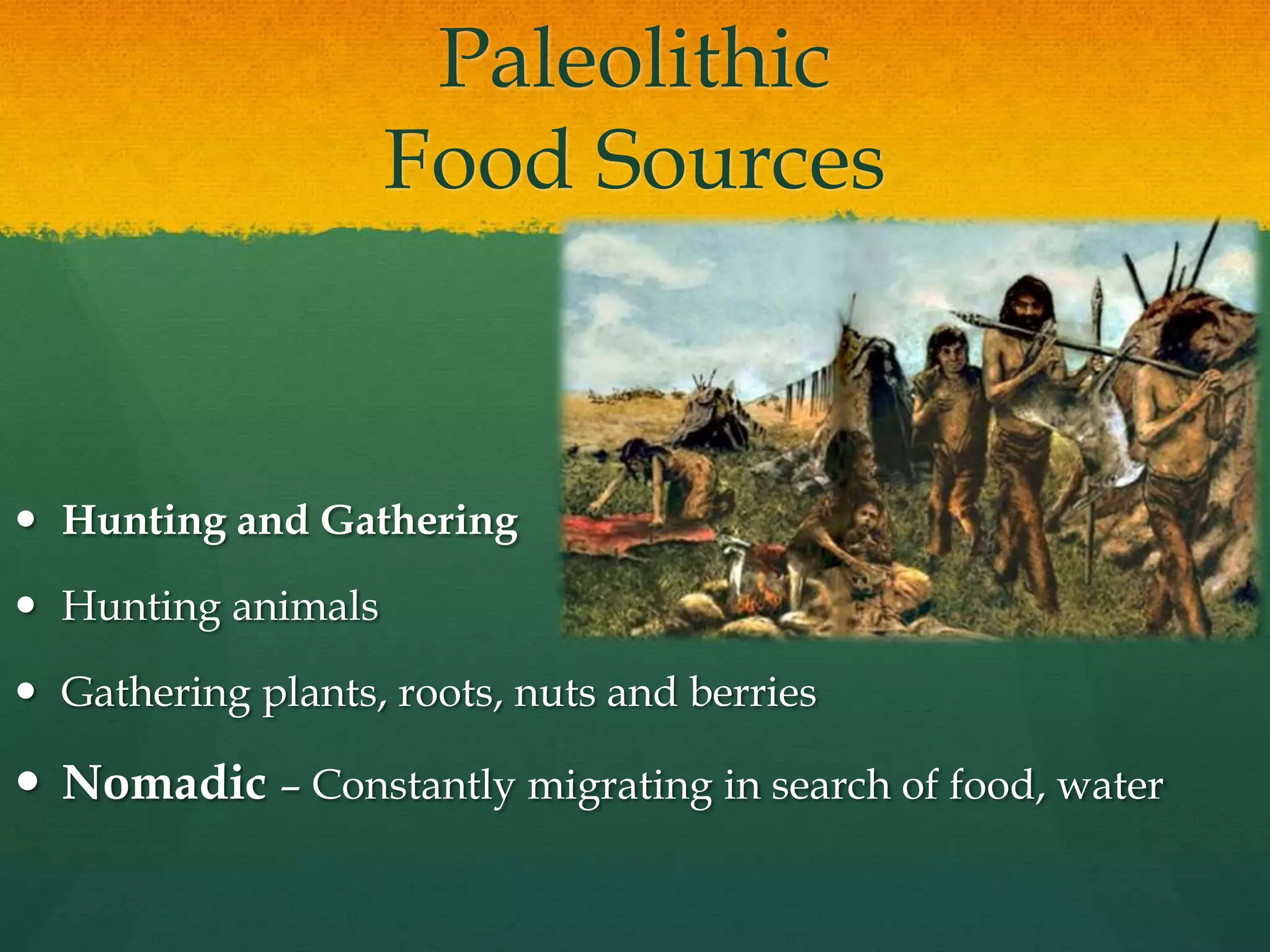 Paleolithic
Food Sources
 Hunting and Gathering
 Hunting animals
 Gathering plants, roots, nuts and berries
 Nomadic – Constantly migrating in search of food, water
 