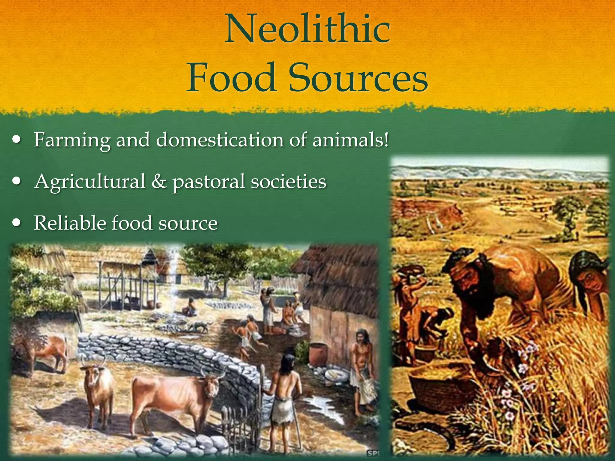 Neolithic
Food Sources
 Farming and domestication of animals!
 Agricultural & pastoral societies
 Reliable food source
 
