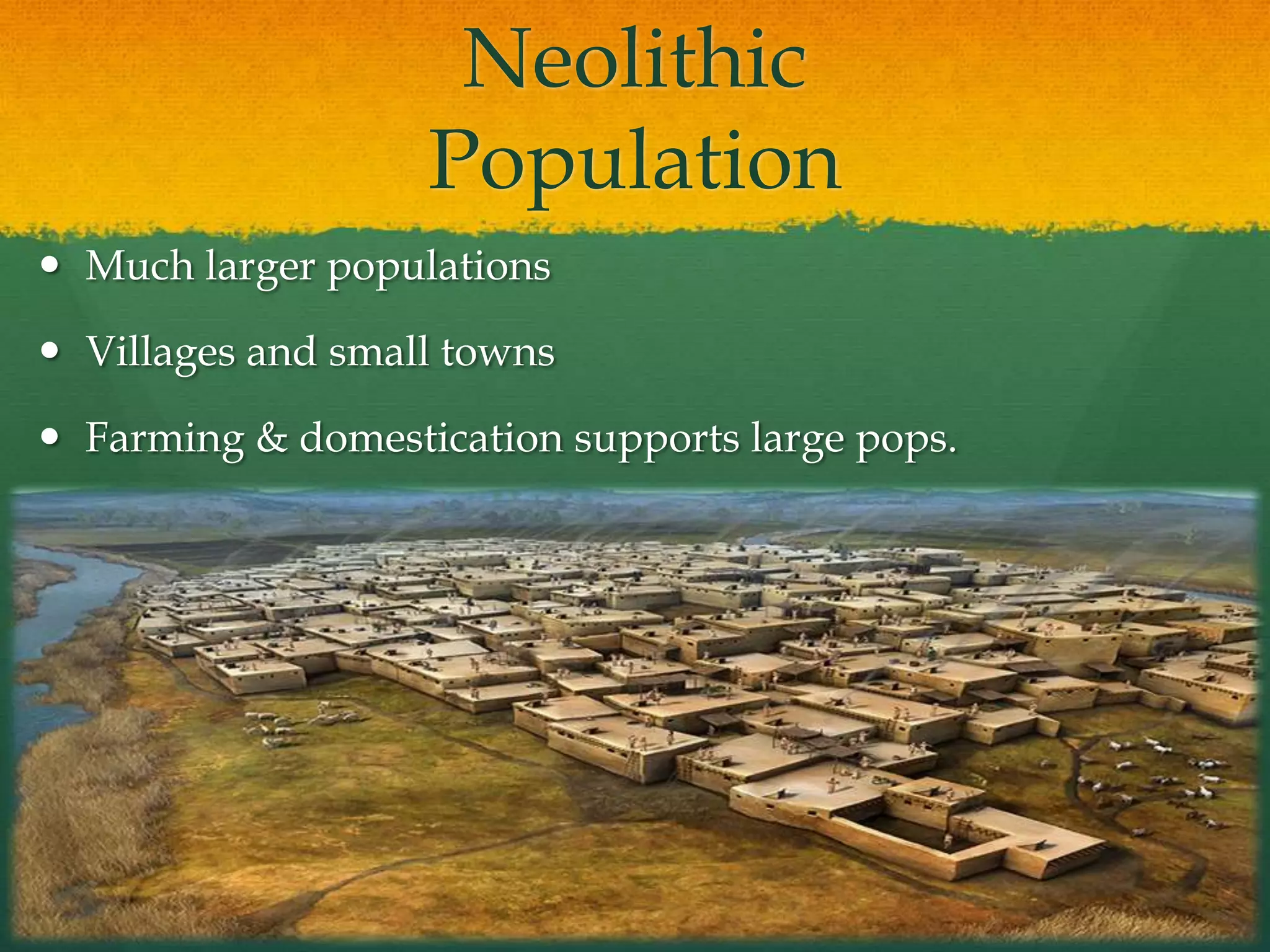 Neolithic
Population
 Much larger populations
 Villages and small towns
 Farming & domestication supports large pops.
 