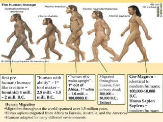 first pre-
human/human-
like creature =
hominid; 4 mill.
– 2 mill. B.C.
“human with
ability” – 1st
tool maker –
2.5 mill. – 1.5
mill. B.C.
Migrated
throughout
Eurasia; first
to bury dead;
200,000 –
30,000 B.C.;
Extinct
Cro-Magnon –
identical to
modern humans;
100,000-10,000
B.C.
Homo Sapien
Sapiens =
modern humans
•“human who
walks upright” –
1st out of
Africa, 1st w/fire
– 1.6 mill. –
100,000B.C.
Human Migration
•Migration throughout the world spanned over 1.5 million years.
•Homo sapiens migrated from Africa to Eurasia, Australia, and the Americas
•Humans adapted to many different environments.
 