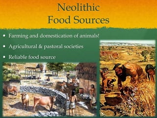 Neolithic
Food Sources
 Farming and domestication of animals!
 Agricultural & pastoral societies
 Reliable food source
 