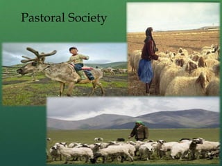 Pastoral Society
 
