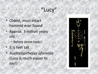 “Lucy”
• Oldest, most intact
hominid ever found
• Approx. 3 million years
old
– Before stone tools!
• 3 ½ feet tall
• Australopithecus afarensis
(Lucy is much easier to
say!)
 