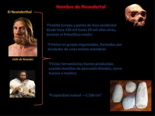 Hombre de Neandertal habitó Europa y partes de Asia occidental desde hace 230 mil hasta 29 mil años atrás, durante el Paleolítico medio capacidad craneal —1.500 cm³ Vivían en grupos organizados, formados por alrededor de unos treinta miembros Estas herramientas fueron producidas usando martillos de percusión blandos, como huesos o madera " Valle de Neander El Neanderthal 