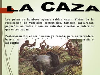 Los primeros hombres apenas sabían cazar. Vivían de la
recolección de vegetales comestibles, también capturaban
pequeños animales o comían animales muertos o enfermos
que encontraban.
Posteriormente, el ser humano ya cazaba, pero su verdadera
base alimenticia, siguió siendo la recolección y la carroña o
las capturas con trampas.
 