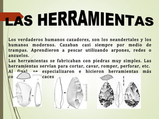 Los verdaderos humanos cazadores, son los neandertales y los
humanos modernos. Cazaban casi siempre por medio de
trampas. Aprendieron a pescar utilizando arpones, redes o
anzuelos.
Las herramientas se fabricaban con piedras muy simples. Las
herramientas servían para cortar, cavar, romper, perforar, etc.
Al final, se especializaron e hicieron herramientas más
completas y eficaces.
 