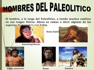El hombre, a lo largo del Paleolítico, a tenido muchos cambios
en sus rasgos físicos. Ahora os vamos a decir algunas de las
especies de humanos que había.
Homo antecesor Hombre
Australopithecus.
Homo habilis.
Homo
 