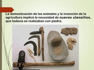 La domesticación de los animales y la invención de la
agricultura implicó la necesidad de nuevos utensilios,
que todavía se realizaban con piedra.
 
