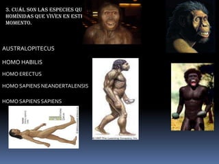 3. Cuál son las especies que homínidas que viven en este momento.AUSTRALOPITECUSHOMO HABILISHOMO ERECTUSHOMO SAPIENS NEANDERTALENSISHOMO SAPIENS SAPIENS
