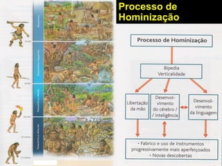 Processo de
Hominização
 
