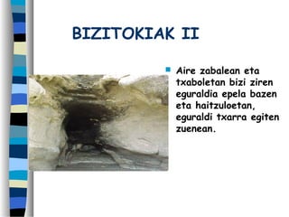 BIZITOKIAK II
 Aire zabalean eta
txaboletan bizi ziren
eguraldia epela bazen
eta haitzuloetan,
eguraldi txarra egiten
zuenean.
 
