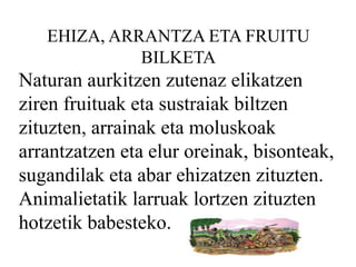 EHIZA, ARRANTZA ETA FRUITU
BILKETA
Naturan aurkitzen zutenaz elikatzen
ziren fruituak eta sustraiak biltzen
zituzten, arrainak eta moluskoak
arrantzatzen eta elur oreinak, bisonteak,
sugandilak eta abar ehizatzen zituzten.
Animalietatik larruak lortzen zituzten
hotzetik babesteko.
 
