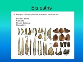 Els estris
 