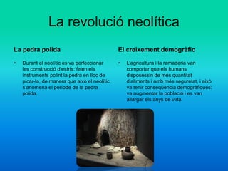La revolució neolítica
La pedra polida
• Durant el neolític es va perfeccionar
les construcció d’estris: feien els
instruments polint la pedra en lloc de
picar-la, de manera que això el neolític
s’anomena el període de la pedra
polida.
El creixement demogràfic
• L’agricultura i la ramaderia van
comportar que els humans
disposessin de més quantitat
d’aliments i amb més seguretat, i això
va tenir conseqüència demogràfiques:
va augmentar la població i es van
allargar els anys de vida.
 