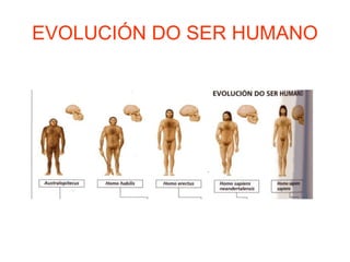 EVOLUCIÓN DO SER HUMANO