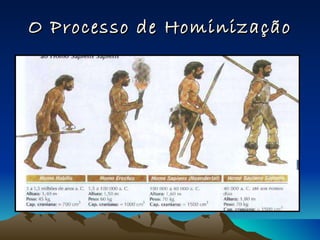 O Processo de Hominização 
