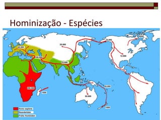 Hominização - Espécies15