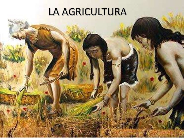 Resultado de imagen para agricultura hombre prehistorico dibujo