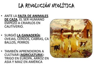LA REVOLUCIÓN NEOLÍTICA
• ANTE LA FALTA DE ANIMALES
DE CAZA, EL SER HUMANO
EMPEZÓ A CRIARLOS EN
CAUTIVERIO.
• SURGIÓ LA GANADERÍA:
OVEJAS, CERDOS, CABRAS, CA
BALLOS, PERROS
• TAMBIÉN APRENDIERON A
CULTIVAR (AGRICULTURA):
TRIGO EN EUROPA, ARROZ EN
ASIA Y MAIZ EN AMÉRICA
 