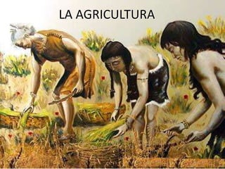 LA AGRICULTURA
 