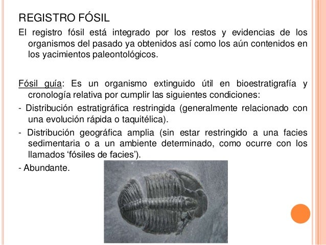 FÓSIL