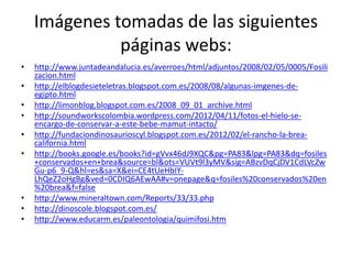 Imágenes tomadas de las siguientes
              páginas webs:
•   http://www.juntadeandalucia.es/averroes/html/adjuntos/2008/02/05/0005/Fosili
    zacion.html
•   http://elblogdesieteletras.blogspot.com.es/2008/08/algunas-imgenes-de-
    egipto.html
•   http://limonblog.blogspot.com.es/2008_09_01_archive.html
•   http://soundworkscolombia.wordpress.com/2012/04/11/fotos-el-hielo-se-
    encargo-de-conservar-a-este-bebe-mamut-intacto/
•   http://fundaciondinosaurioscyl.blogspot.com.es/2012/02/el-rancho-la-brea-
    california.html
•   http://books.google.es/books?id=gVvx46dJ9XQC&pg=PA83&lpg=PA83&dq=fosiles
    +conservados+en+brea&source=bl&ots=VUVt9l3yMV&sig=ABzvDqCjDV1CdLVcZw
    Gu-p6_9-Q&hl=es&sa=X&ei=CE4tUeHbIY-
    LhQeZ2oHgBg&ved=0CDIQ6AEwAA#v=onepage&q=fosiles%20conservados%20en
    %20brea&f=false
•   http://www.mineraltown.com/Reports/33/33.php
•   http://dinoscole.blogspot.com.es/
•   http://www.educarm.es/paleontologia/quimifosi.htm
 