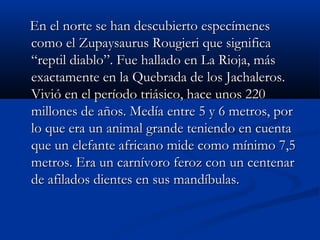 En el norte se han descubierto especímenesEn el norte se han descubierto especímenes
como el Zupaysaurus Rougieri que significacomo el Zupaysaurus Rougieri que significa
“reptil diablo”. Fue hallado en La Rioja, más“reptil diablo”. Fue hallado en La Rioja, más
exactamente en la Quebrada de los Jachaleros.exactamente en la Quebrada de los Jachaleros.
Vivió en el período triásico, hace unos 220Vivió en el período triásico, hace unos 220
millones de años. Medía entre 5 y 6 metros, pormillones de años. Medía entre 5 y 6 metros, por
lo que era un animal grande teniendo en cuentalo que era un animal grande teniendo en cuenta
que un elefante africano mide como mínimo 7,5que un elefante africano mide como mínimo 7,5
metros. Era un carnívoro feroz con un centenarmetros. Era un carnívoro feroz con un centenar
de afilados dientes en sus mandíbulas.de afilados dientes en sus mandíbulas.
 